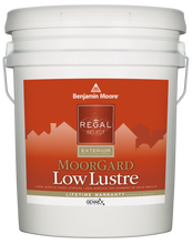 Load image into Gallery viewer, Regal Ext.Mooreguard LowLuster
