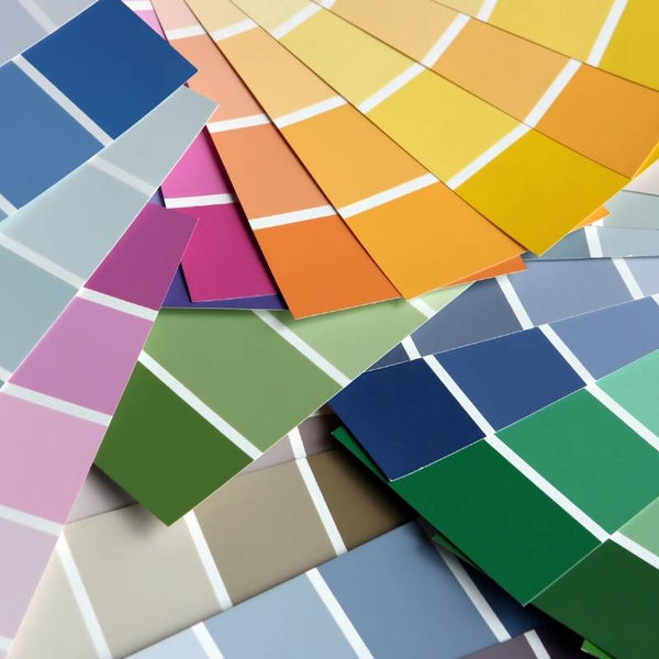 How to Choose the Right Paint for Your Project