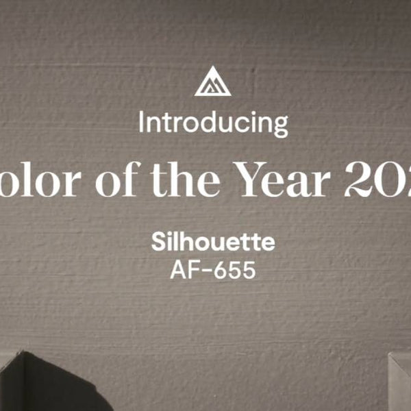 A wall painted in Silhouette AF-655 to announce the Benjamin Moore Color of the Year 2026 at Hoover Paint near Central Tennessee