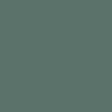Ac-21 Silver Pine