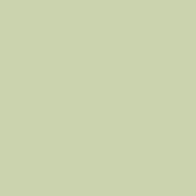 479 Apple Blossom (479)