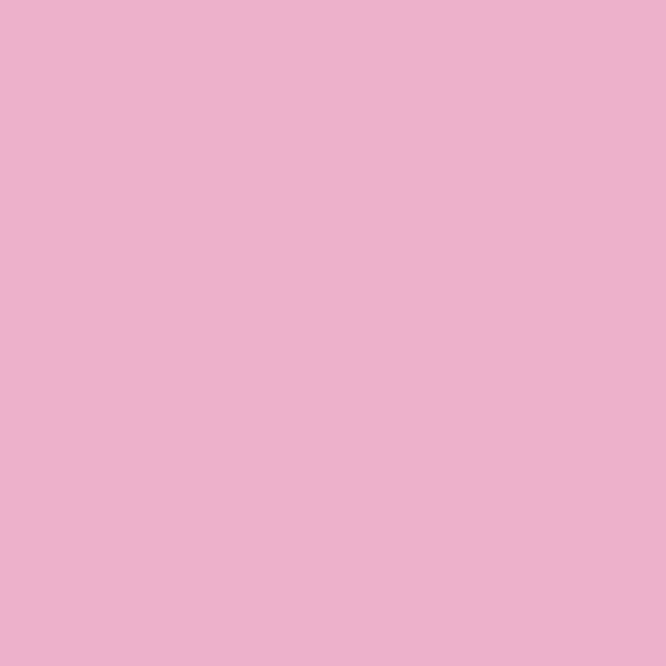 2078-50 Pink Begonia